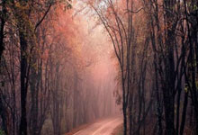 亚冬会︱单板滑雪大跳台 中国队包揽男子和女子冠亚军2025-02-10.