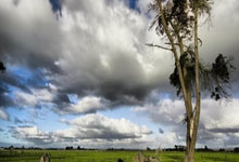 2张红牌！连扳4球！山东泰山：史诗级逆转，神奇替补拯救崔康熙！.