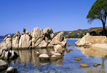 2张红牌！连扳4球！山东泰山：史诗级逆转，神奇替补拯救崔康熙！.